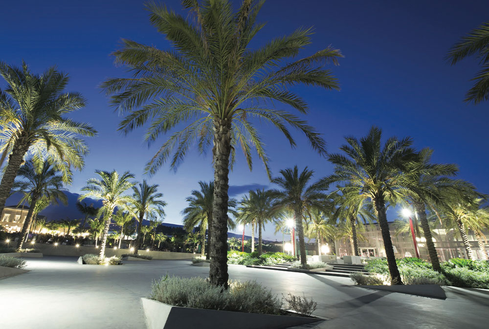 3-terrazza-delle-palme-radicepura-rp-parco-botanico-festival-park